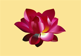 手绘红色荷花flash动画